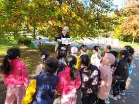 꽃들1반 10월 놀이활동 1